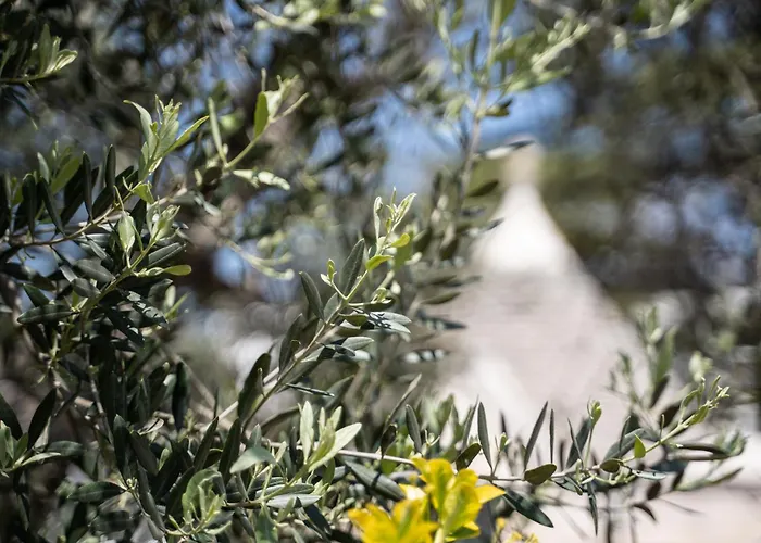 Villa Trullo Leone Martina Franca